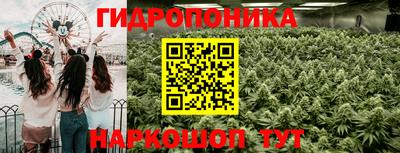 гидра Нальчик