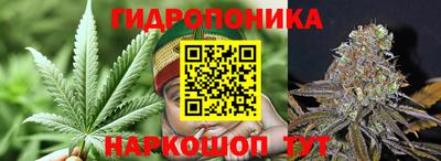 гидра Нальчик