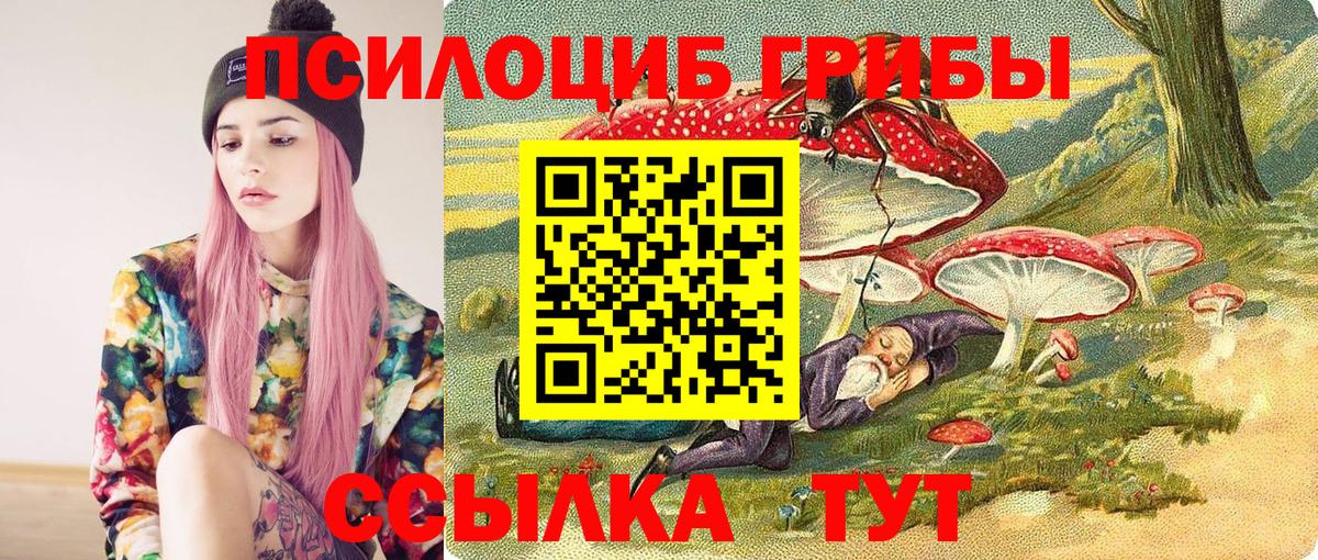 Галлюциногенные грибы мицелий Старая Купавна